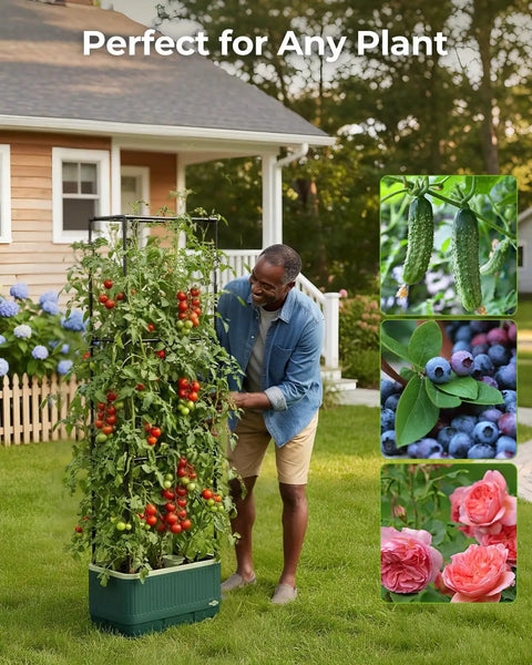 Raised Garden Bed Planter With Trellis For No Fuss Self Watering Tomatoes Climbing Plants And Veggies For Indoor Outdoor Patio Garden Great For Balcony And Yard Gardens And Aids Healthy Harvest featuring tomatoes and an adjustable trellis in a backyard setting