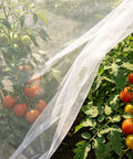 Garden Netting 4x10 Ft See Through Pest Barrier And Bird Netting For Vegetables Flowers Trees Plant Mesh Row Cover in garden