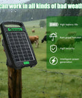 Go To Solar Fence Charger Energizer with 0.11J output attached to fence post in rain, cows in pasture background