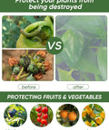 Before and after using 4 Pack Garden Netting Pest Barrier With Drawstring Keeps Tomatoes, Blueberries, Vegetables, And Fruits Safe