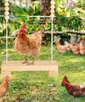 Hen on 40cm Natural Wooden Chicken Swing Perch With Iron Monkey Decoration and Durable Rope for hens and backyard birds
