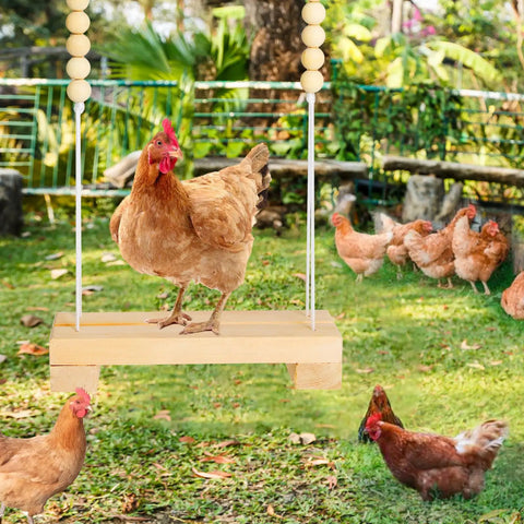 Hen on 40cm Natural Wooden Chicken Swing Perch With Iron Monkey Decoration and Durable Rope for hens and backyard birds