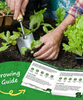 Gardener planting Heirloom Lettuce Seed Collection for Home Garden and Hydroponics - 10 Varieties Non-GMO seeds with guide
