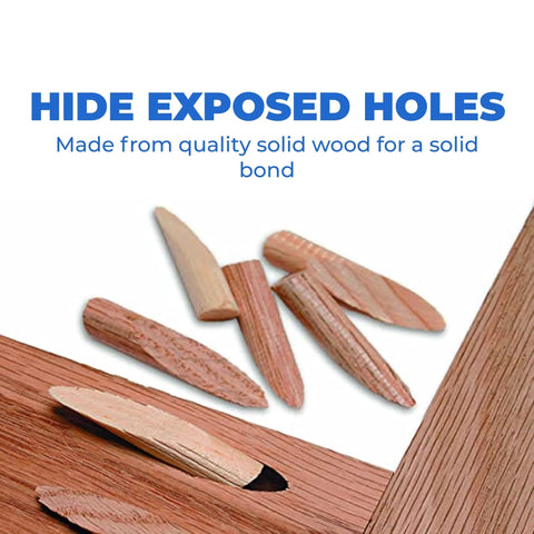Front view of solid oak pocket-hole plugs; tapered wooden plugs scattered on white background (6 pieces)