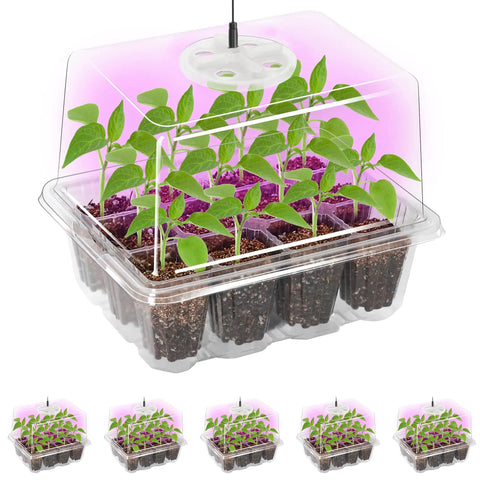 Five Pack Seed Starter Tray With Grow Light Kit Elevated Seedling Trays Adjustable Humidity Domes Clear Cell Trays Twelve Full Spectrum LED Beads For Indoor Plants No Fuss Indoor Garden Setup For Faster Germination showing clear trays with seedlings under LED light