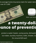 Water Leak Detector With Long Range LoRa Sensor for Smart Home and a twenty-dollar bill, emphasizing cost-saving prevention.