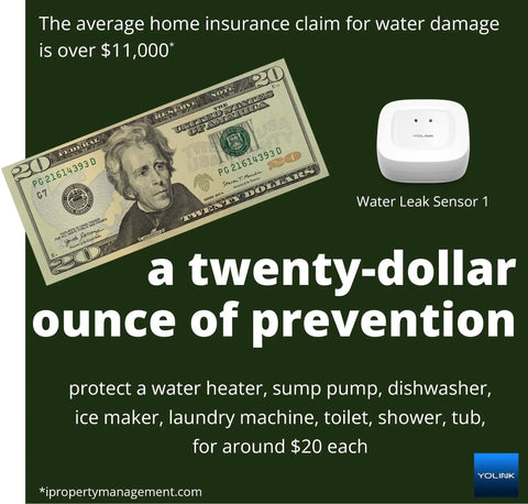 Smart Home Starter Kit With Hub And Two Water Leak Sensors LoRa Range Up To Quarter Mile with $20 bill and sensor shown
