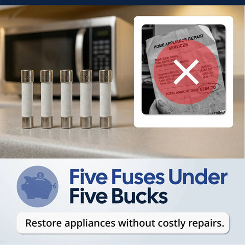 20 Amp Microwave Fuse 250V Slow Blow Replacement Universal Time Delay Safety Fuse Fits Whirlpool Kenmore LG Samsung Amana KitchenAid And More 6x30mm 5 Pack Durable Easy Install on counter