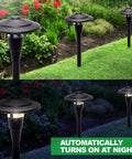 Low Voltage Outdoor Path And Walkway Lights 8 Pack With Transformer Control Box And Landscape Wire Modern Skyline Garden And Lawn Lighting No Fuss Easy Install Weatherproof Eco Friendly Welcoming Warm Glow setup on lush green lawn, daylight and night view.