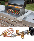 Gas Fire Pit Ignition Kit With Flame Failure Safety Valve Push Button Ignition No Fuss Brass Burner Control Valve Set For Fire Pit And Grill Replacement Parts Reliable Igniter System For Easy Start next to outdoor grill with food