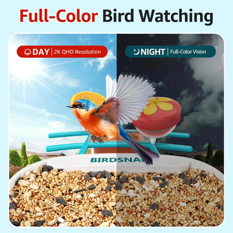 2K HD Bird Feeder Camera With Solar Power And 32GB Card Auto Detect And Notify AI ID 155 Degree Wide View Color Night Vision