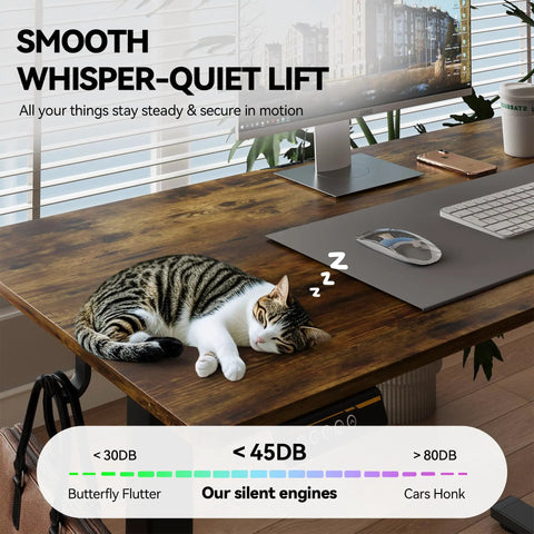 Electric Standing Desk 48 By 24 Inches With Adjustable Height Sit Stand Design For Home Office, cat sleeping on desktop.