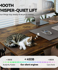 Sleek 48 Inch Electric Height Adjustable Standing Desk With Powerful Motor For Gaming And Office Setup Smooth Ergonomic Lifts Up To 154 Pounds Super Quiet Operation Perfect Fit For Any Room, featuring a sleeping cat on a wooden surface.