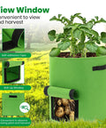 6 Pack 10 Gallon Potato Grow Bags With View Window Large Fabric Plant Pots With Handles For Veggies Fruits And More Easy Harvest And Haul Green Garden Containers For Home Growers showing potatoes and leaves