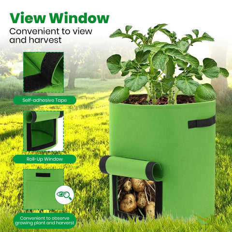 6 Pack 10 Gallon Potato Grow Bags With View Window Large Fabric Plant Pots With Handles For Veggies Fruits And More Easy Harvest And Haul Green Garden Containers For Home Growers showing potatoes and leaves
