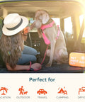 Woman and dog in car with Pet First Aid Kit For Cars And Travel With Digital Thermometer Muzzle And Mini First Aid Pouch.
