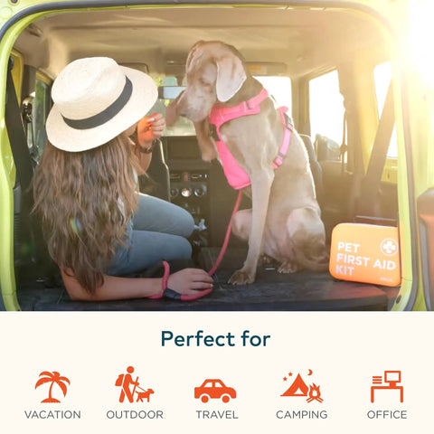 Woman and dog in car with Pet First Aid Kit For Cars And Travel With Digital Thermometer Muzzle And Mini First Aid Pouch.