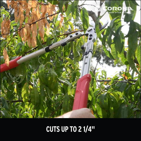 X Series Pro Bypass Lopper With Two And A Quarter Inch Cutting Capacity trimming tree branch