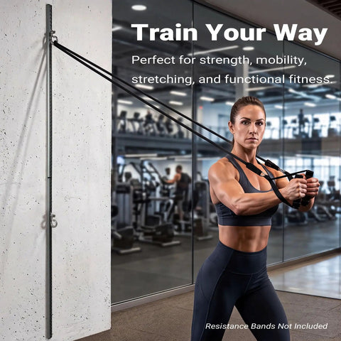 Solid Dual Sliding Wall Anchor Rail System With Adjustable Height For Resistance Bands And Suspension Trainers Made From Heavy Duty Aluminum in gym setting.