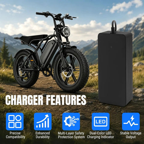 54.6V 2.5A 3 Pin Fast Charger For TST R002 R002S E Bikes Waterproof Power Adapter With UL Certification shown next to e-bike outdoors