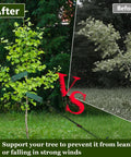 Comparison of young trees with and without Heavy Duty Tree Stake Kit With 3 Straps, 3 Steel Spikes, And 39 Ft Rope for windproof support