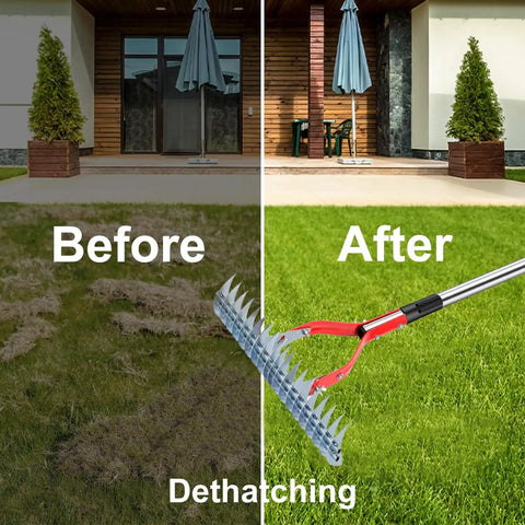 Beast Dethatching Rake For Lawns, 15-Inch Wide With Adjustable Steel Teeth And 70-Inch Stainless Handle shown on grass before and after use