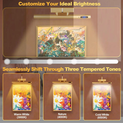 Cordless Picture Light With Dimmable Brightness And Timer, Controller Included, Rechargeable 5000mAh Battery, Gold Wall Sconce illuminating art