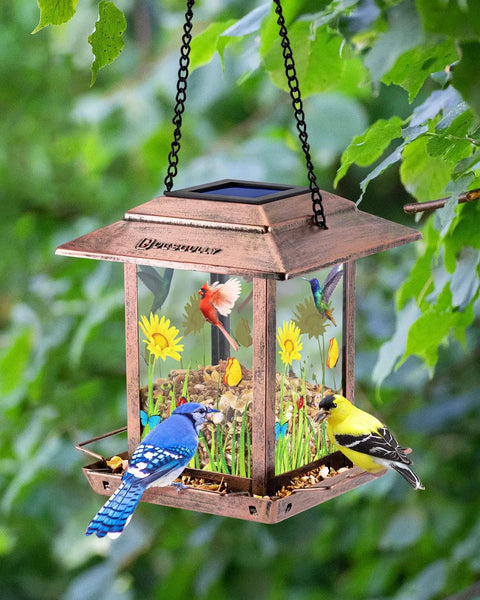 Solar Bird Feeder And Lantern For Outdoors Chew Proof Metal Feeder With Big Two And A Half Pound Seed Capacity Easy Fill Hangin Bird Feeder For Gardens And Yards Weather Resistant Dual Day Feeder And Night Lantern Gifts For Bird Lovers with colorful birds perched on it in a garden setting.