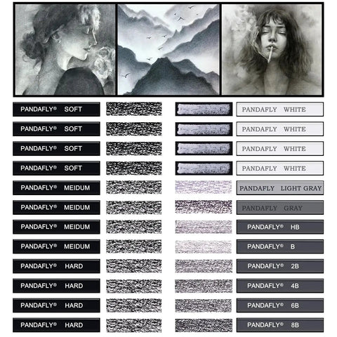 Compressed Charcoal Sticks Set 24 Pack Black And White Vine Charcoal for Drawing Sketching and Shading Ideal for Portraits and Art Projects displayed with artwork samples.