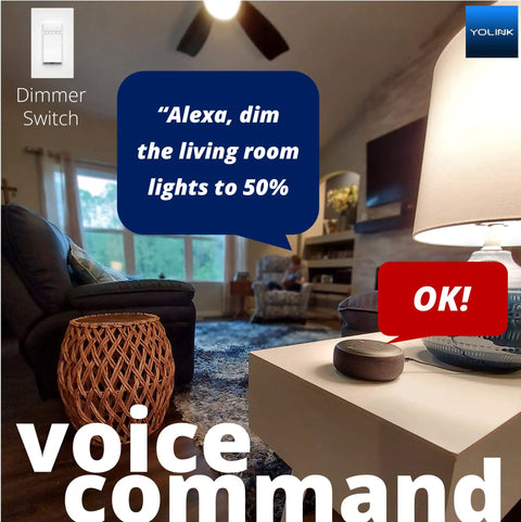 Living room with smart speaker and lamp, Alexa dimming lights. Long Range In Wall Smart Light Switch With LoRa Coverage Up To One Quarter Mile