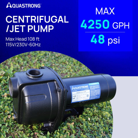 Shallow Well Jet And Centrifugal Pump Three Quarter Horsepower For Home Water Supply Dope Performance On Grass With Specs