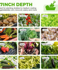 Collage of vegetables including potato, tomato, lettuce, carrot, cabbage, garlic, strawberry, radish, green pepper, cucumber, beans, and eggplant