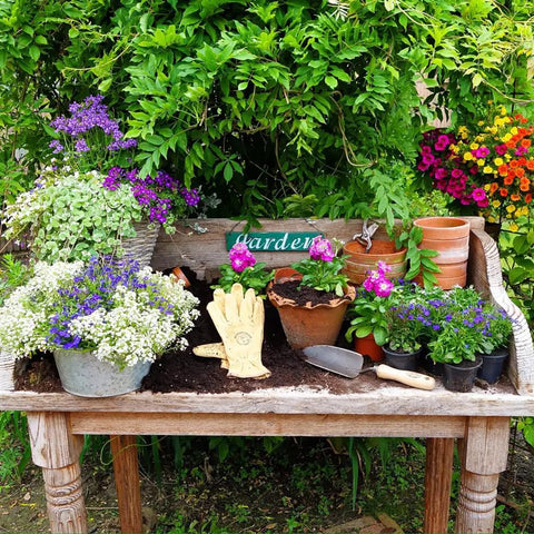 Gardening setup with potted flowers and Forged Hand Trowel For Roots And Planting, Heavy Duty Garden Tool With Sharp Boron Steel Head