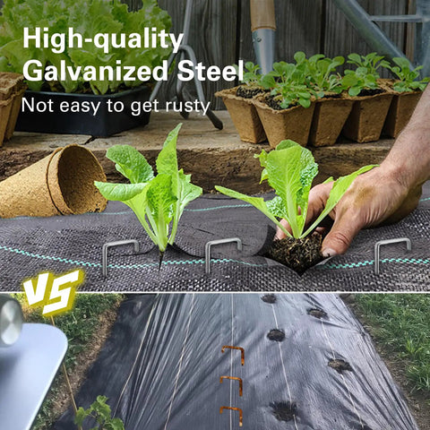 Heavy Duty 8 Inch Landscape Staples Made From 8 Gauge Galvanized Steel For Lawns, Weed Barriers, Landscape Fabric, Irrigation Hoses And Tent Pegs 125 Packs Of Rugged Rust Proof Stakes For Outdoor Use securing fabric