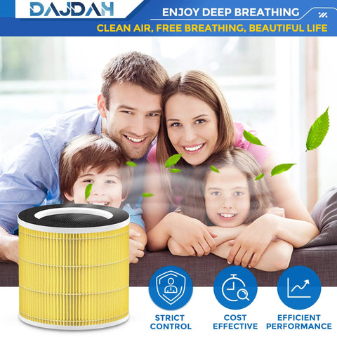 Family with Pet Allergy Replacement Filter For Air Purifier RP-AP089 Series With H13 True HEPA And Activated Carbon next to them