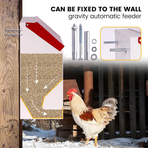 Heavy Duty Galvanized Wall Mount Chicken Feeder Designed To Kickstart Your Flock With A Secure Tilt Lid All Season Weatherproof.