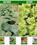 Comparison of garden with and without Ultra Fine Garden Netting 10 X 100 Ft Bird And Insect Barrier For Raised Beds Vegetables Fruits Flowers Trees Plant Row Covers For Garden Greenhouse And Patio Protection White, showing effects on plants.