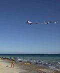 Person flying Rainbow Stripes 5.0 Parafoil Kite For All Ages - Frameless Single-Line Travel Kite, No Assembly Required on beach