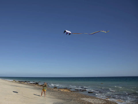 Person flying Rainbow Stripes 5.0 Parafoil Kite For All Ages - Frameless Single-Line Travel Kite, No Assembly Required on beach