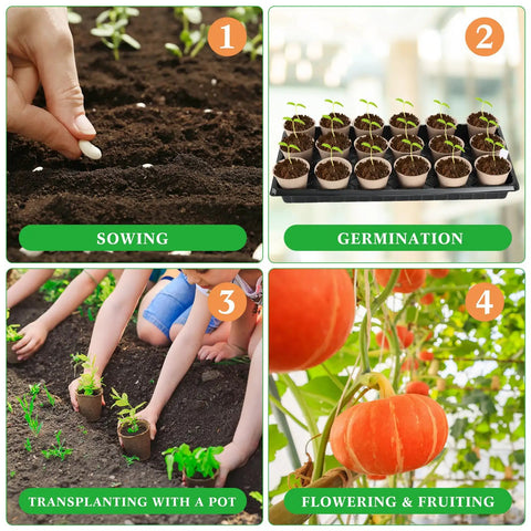 Steps showing Seed Starter Kit For Indoor And Outdoor Gardening With 10 Plastic Growing Trays, 180 Peat Pots With Drainage Holes, 30 Plant Labels