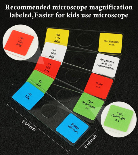 120 Lab Grade Microscope Slides With Specimens Set for Kids and Adults, All-In-One STEM Biology Kit for Homeschool and Classrooms, Botany, Zoology, Microbiology, Histology, and Cells, labeled glass slides, 2.95-inch case