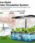 Indoor Hydroponics Growing System Kit With 12 Pods For Herbs Vegetables And Lettuce Dope Smart Environmental Detection Full Spectrum LED Grow Light Auto Timer Faster Growth Home Garden Starter showcased with water circulation system