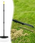 61-Inch Dethatcher Rake For Lawns With Thin Curved Spring Steel Tines, Long Handle Lawn Thatch Removal Tool For Pine Needles