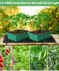 All In One Seedling Starter Kit With Grow Lights And Heat Mat, 72 Cell Seed Starting Trays shown with healthy seedlings outdoors