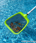 Heavy Duty Pool Skimmer Net With Reinforced Frame And Nylon Flat Leaf Rake collecting leaves in water, Pole Not Included.