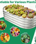 Galvanized Raised Garden Bed Kit 4By2By1Ft Oval Planter Boxes For Outdoor Garden filled with succulents and decorative stones