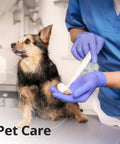 Veterinary care using Premium Violet Nitrile Exam Gloves 3 Mil Medium 100 Pack Box for safe handling during pet treatment.