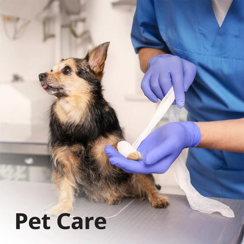 Veterinary care using Premium Violet Nitrile Exam Gloves 3 Mil Medium 100 Pack Box for safe handling during pet treatment.
