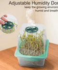 4 Pack Microgreen Sprouting Trays Kit With Humidity Domes showing seedlings growing in 5.9 inch square trays