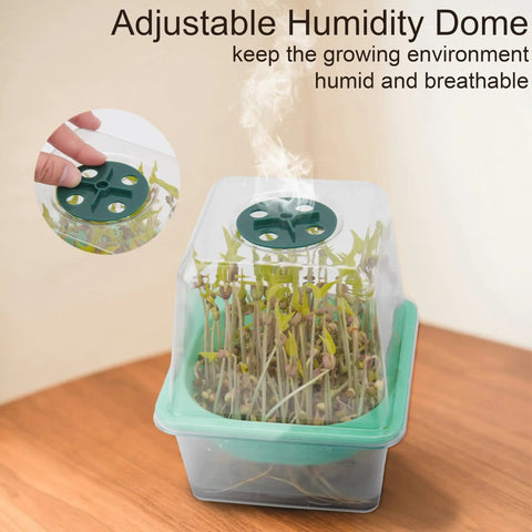4 Pack Microgreen Sprouting Trays Kit With Humidity Domes showing seedlings growing in 5.9 inch square trays